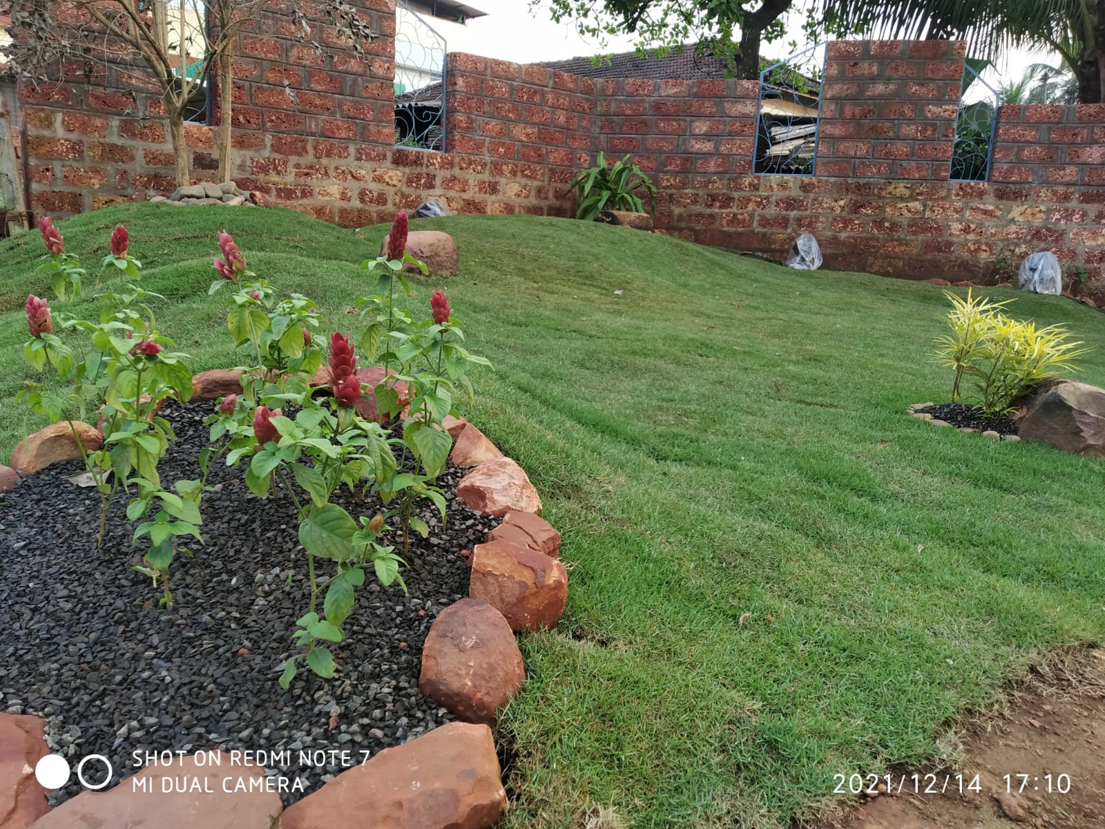 Garden project