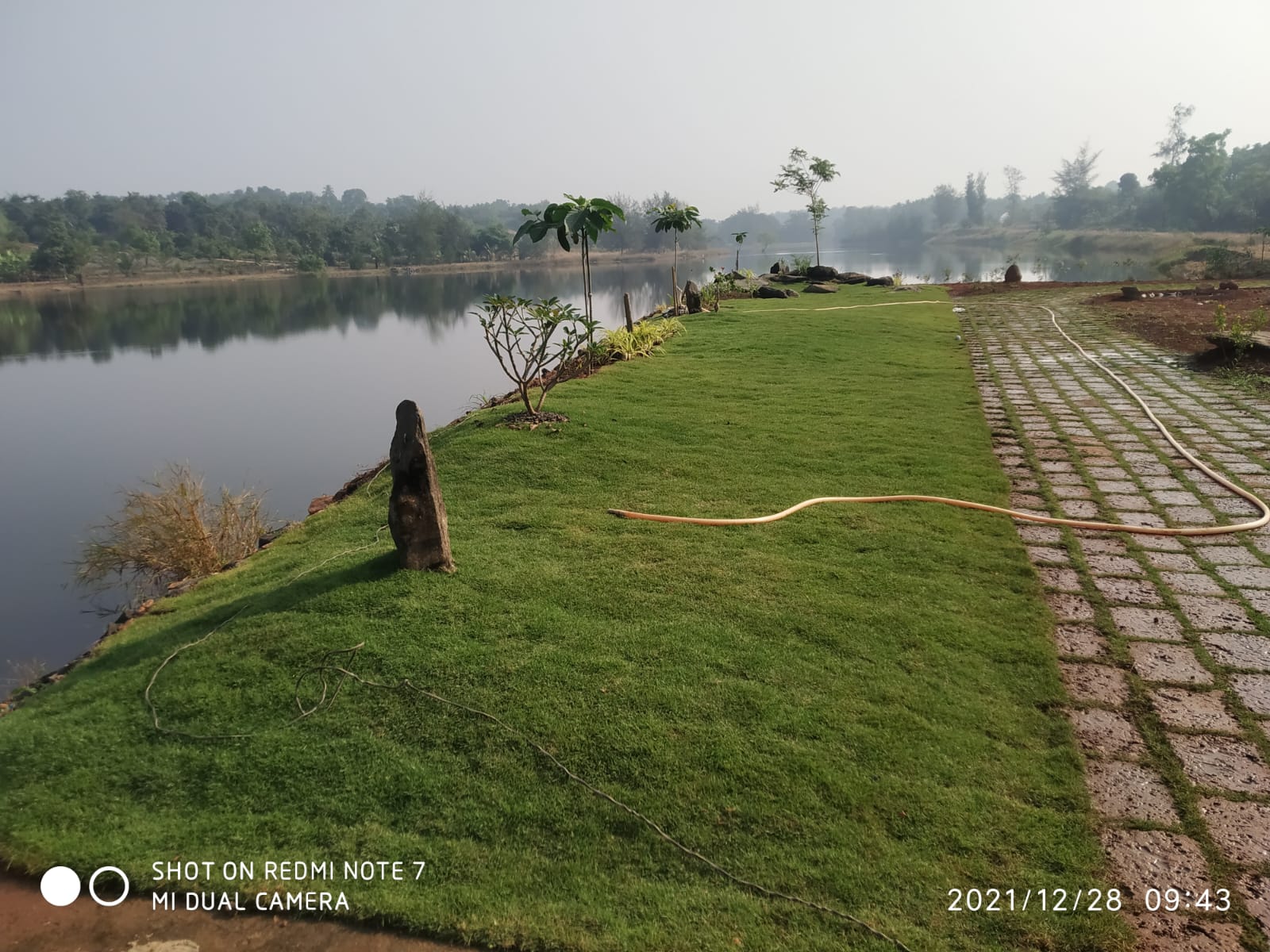 Landscape project